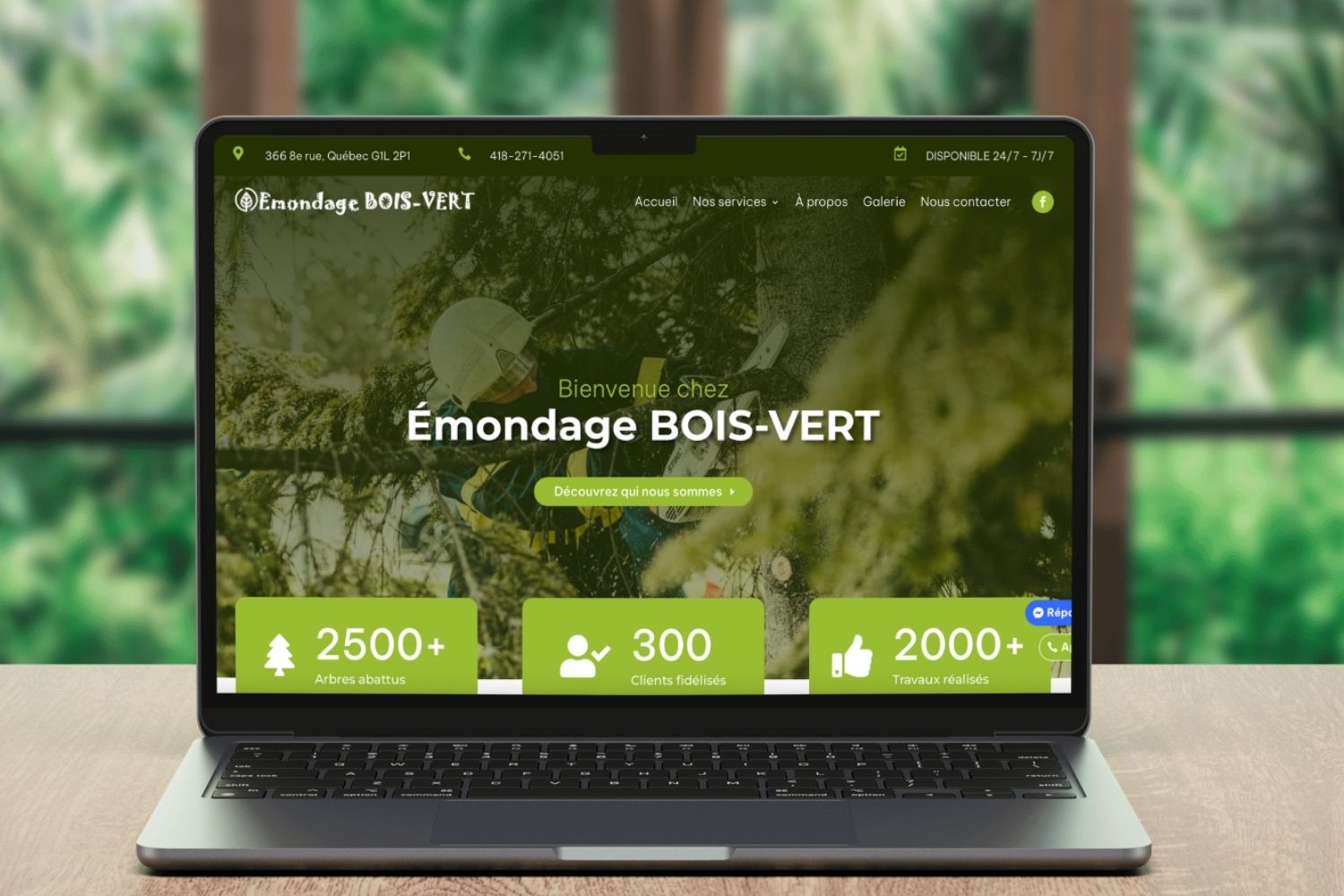 conception site web emondage bois vert accompagnement votre conception site web